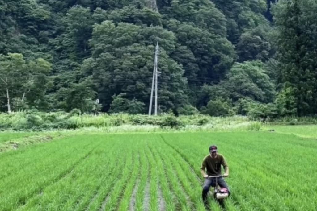 新潟県の田んぼと、農作業をする人の写真